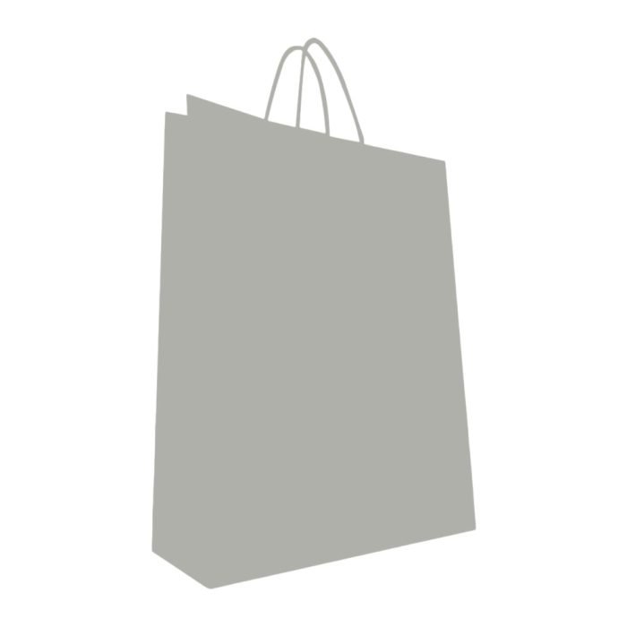 Sac en kraft de couleur argent, dimensions 32 x 41 x 12 cm-200 pièces