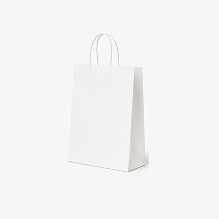 Sac en Kraft 25 x 31 x 12 cm - 350 sacs - Blanc