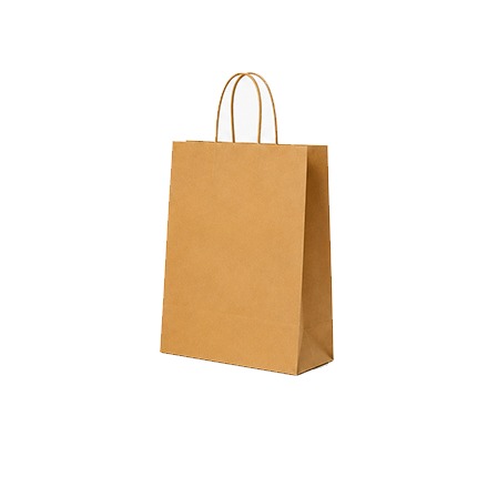 Sac en Kraft 25 x 31 x 12 cm - 350 sacs - Kraft